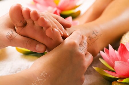 Asian Lily Foot Spa, massage spa in Akron, OH, photo 1 of 8